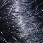 boyanmış seten kurdele